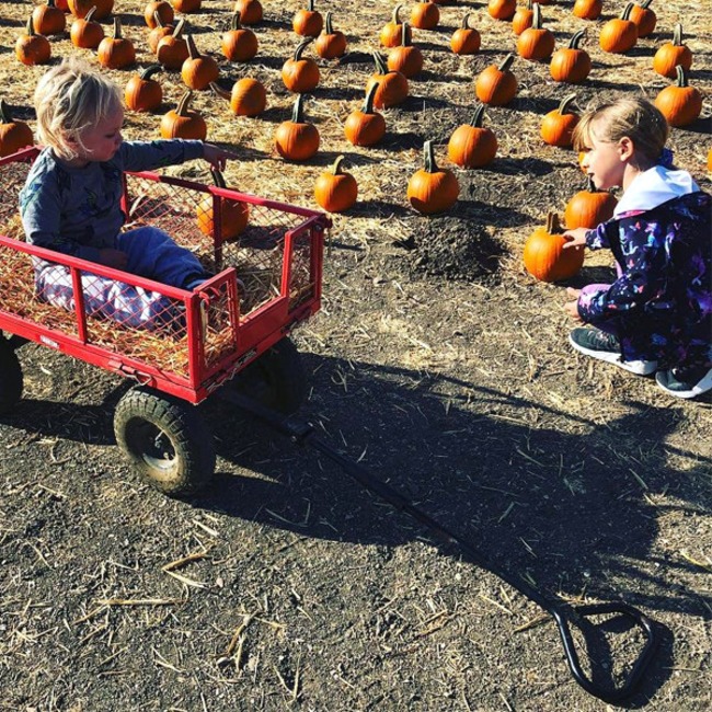 Pink, Instagram, Pumpkin Patch